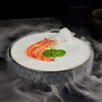 Assiette Ronde Haut de Gamme en Céramique pour Sushi et Glace Sèche, Vaisselle de Luxe pour Dîners, Buffets et Banquets, Plateau Drikold – Vente en Gros