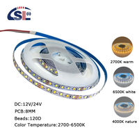 Bande lumineuse LED intelligente connectée USB 5M/10M 2835 12V 8mm CCT Trois Couleurs avec Ra 80 Corps en Cuivre pour Miroir de Salle de Bain 120 LED/m