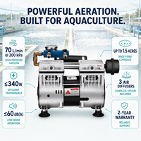 Aérateur de bassin à haut débit, ensemble complet avec compresseur sans huile 70L/min, 3 diffuseurs et tubes lestés pour lacs paysagers
