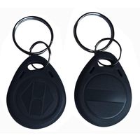 Etichette RFID Riscrivibili 125KHz T5577 Compatibili LF EM4305, Adesivi RFID Scrivibili per Controllo Accessi