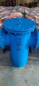2025 Wesdom Ductile Iron ASTM Gusseisen Gerade Pipeline Filter Flansch korb T Typ Sieb - Product Image 2