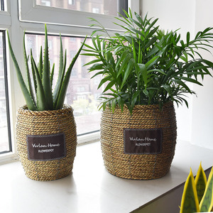 Pot de fleurs en rotin Vivian Home, fait main, décoratif, pour salon, balcon, plantes d'intérieur - Product Image 1