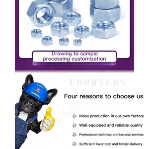 Trung Quốc nhà máy tobo Hex <span class=keywords><strong>Nuts</strong></span> <span class=keywords><strong>ISO</strong></span> <span class=keywords><strong>4033</strong></span> - 1999 M5 M6 M8 M9 M10 M12 SS304 cho ngành công nghiệp - Product Image 6