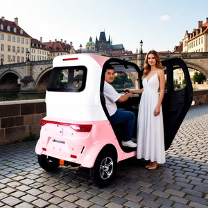 Tricycle électrique fermé 2 places, moteur 1000W, vitesse maximale 40 km/h, pour scooter de mobilité senior avec batterie. - Product Image 1