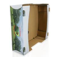 Caja de envío de fruta corrugada al por mayor caja de embalaje de aguacate de impresión completa caja de embalaje de fruta caja de embalaje de aguacate