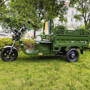Tuk-tuk électrique, vélo électrique à 3 <span class=keywords><strong>roues</strong></span>, tricycle passager, <span class=keywords><strong>moto</strong></span> cargo pour adultes, pour la ferme - Product Image 4