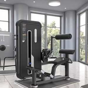 Equipo de Gimnasio Comercial, Soporte Lumbar Ajustable con Peso, Certificación CE <span class=keywords><strong>GS</strong></span>, Servicio OEM Disponible, Máquina de Selección de Carga con Pasadores - Product Image 4