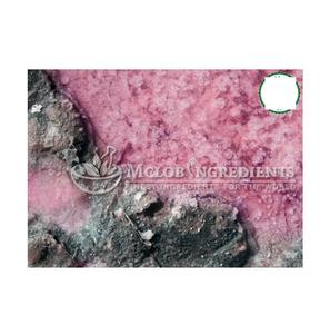 Extrait de poudre de Dunaliella Salina naturel riche en bêta-carotène pour le soutien immunitaire, la santé des yeux, la protection antioxydante de la peau - Product Image 1