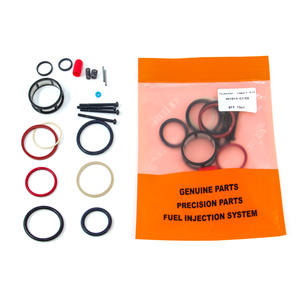 Kit de Inyectores Common Rail de Alta Calidad, Kit de Reparación Nacional 891813 - Product Image 1