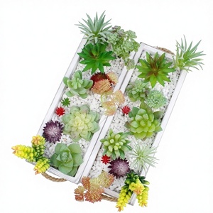 Plantas Suculentas Artificiales de Imitación para Manualidades, Accesorios para Macetas, Decoraciones Florales Artificiales de 10 cm o Menos, Tipo Trompeta DRO - Product Image 1