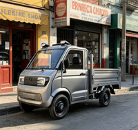 Camionnette électrique chinoise 1,6*1,1m avec cabine fermée, 4 roues, pour le transport de marchandises, mini-camion électrique efficace
