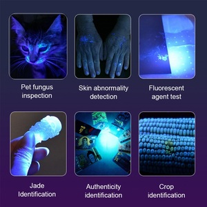 160W High Power UV Flashlight Blacklight Cat <strong>Dog</strong> Urine Stain Tinea Ore Money Scorpion Marker Powerful Rechargeable UV Torch <strong>Lamp</strong> - Product Image 3