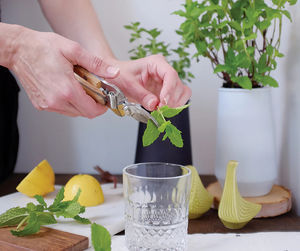 Bocaux de jardin de qualité supérieure de style ferme pour herbes biologiques à la menthe Elixir aromatique rafraîchissant dans un <span class=keywords><strong>pot</strong></span> pour un usage domestique - Product Image 4