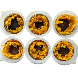 100% tournesols naturels conservés tournesol stabilisé pour le cadeau <span class=keywords><strong>de</strong></span> l'enseignant et <span class=keywords><strong>de</strong></span> la fête des pères - Product Image 3