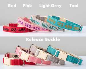 Collier pour chien en daim bleu sarcelle brodé avec nom et coordonnées personnalisés, laisse multicolore réglable - Product Image 4