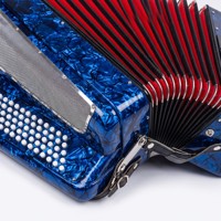 Instrument de musique populaire, accordéon à 37 touches et 80 basses, à lames italiennes, pour débutants et adultes, instrument de pratique