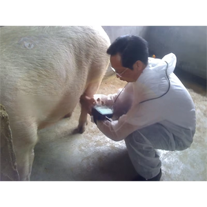 Xách tay đầy đủ kỹ thuật số cổ tay thú y siêu âm thiết bị cho chăn nuôi giám sát cho on-trang trại thú y chăm sóc - Product Image 6