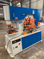 Machine de découpe et de poinçonnage hydraulique CNC multifonction universelle personnalisable, marque Tiesui, garantie 5 ans, pour tôles métalliques