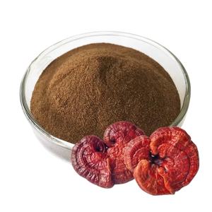 Sıcak satış gıda sınıfı Ganoderma özü tozu mantar tozu organik bitkisel aslanlar yele anında Ganoderma tozu - Product Image 2