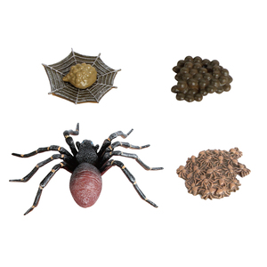 Modelo de aprendizaje del ciclo de vida: Mini araña de plástico realista, juguete de rompecabezas sobre el crecimiento animal - Product Image 1