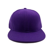 Sedex Audit Personnaliser Concevez Votre Logo À La Mode Unisexe En Coton 6 Panneau Violet Plaine Snapback Cap Chapeau De Sport