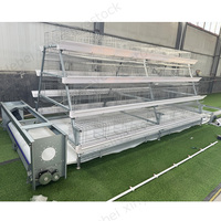 Cage à poules pondeuses de type 3/4 niveaux pour élevage avicole, équipée d'une ligne d'abreuvement automatique et d'un grattoir à fumier, avec cadre galvanisé à chaud