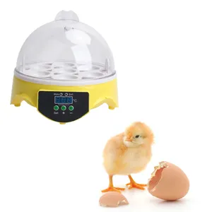 Mini incubateur d'œufs numérique de haute qualité, couveuse de 7 œufs