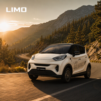 Voiture électrique à 4 roues fabriquée en Chine, intérieur luxueux, véhicule à énergie nouvelle, véhicule électrique économique, petite voiture électrique