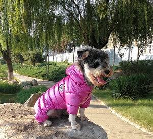 Jaqueta acolchoada para cachorro, casaco quente à prova d'água para inverno de 2022 - Product Image 4