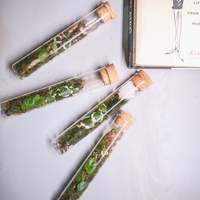 Tube à essai à fond plat Terrarium en mousse artificielle Tube de verre Plantes Terrariums en bois avec couvercle en liège