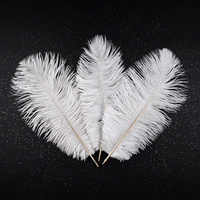 Plumes d'autruche blanches teintées de 30-35 cm en gros pour fêtes, carnavals, bricolage, artisanat, vêtements et décoration