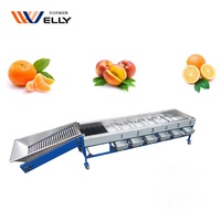 Pomodoro formato smistamento macchina/macchina di classificazione della pesca ponderazione/kiwi frutta smistamento macchina
