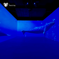 Projection murale interactive immersive, projection holographique 3D, système de projection murale interactive, projection au sol pour centre commercial, musée, exposition
