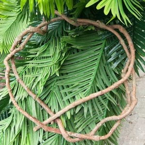 X-2005 Layout di Scena Occasione Artificiale Decorativo <span class=keywords><strong>Rami</strong></span> <span class=keywords><strong>Naturali</strong></span> Secco Albero Vines - Product Image 3