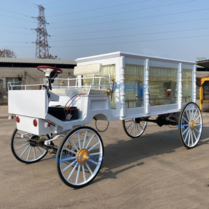 Carroza Fúnebre Eléctrica 2026, Carroza Fúnebre Eléctrica Arrastrada por Caballos, Carroza Fúnebre con Caballos, Carroza Fúnebre Eléctrica - Product Image 2