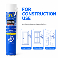Mastic polyuréthane A13 750ml pour basses températures, qualité hiver -20°C, pour cadres de portes, joints de fenêtres et murs
