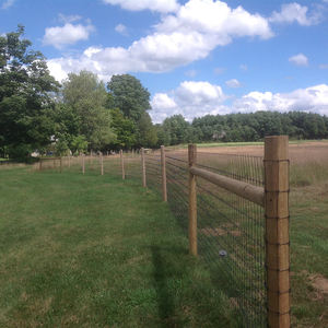 Cercas <span class=keywords><strong>para</strong></span> Granjas de Cría de Caballos, Ganado y Ciervos con Malla Cuadrada Ondulada de Alambre Metálico Galvanizado <span class=keywords><strong>para</strong></span> Recintar Ganado y Aves de Corral - Product Image 6