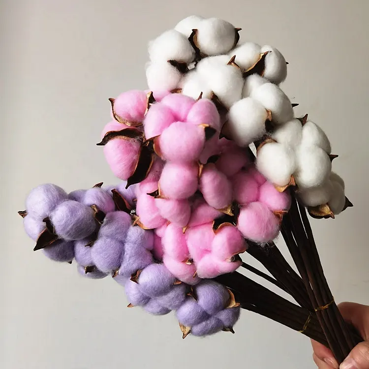 Flor seca colorida de algodón con vástago para decoración del hogar, flor seca de un solo cabezal, gran oferta