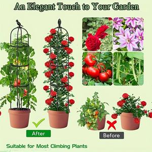 Treillis ovale de jardin pour plantes grimpantes d'extérieur, support pour plantes en treillis rond antirouille pour rosiers, fleurs en pot d'intérieur - Product Image 4