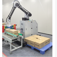 Robot industriel pour palettisation de sacs de 5 à 30 kg, machine de palettisation compacte, ligne d'assemblage