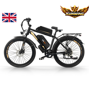 JLM-EC27 <span class=keywords><strong>Prix</strong></span> départ usine Vente en gros Livraison rapide Vélo électrique pour adultes de 27 pouces 48V <span class=keywords><strong>500</strong></span> Watt avec deux batteries - Product Image 1