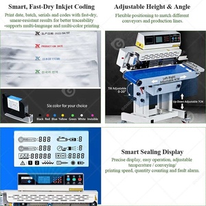 Machine à sceller les sachets en plastique avec aspiration continue d'air (Selladora Continua De Banda Con Aire) - Product Image 5