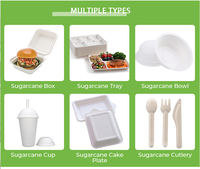Assiette à bagasse carrée jetable-Durable et sans plastique