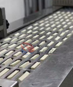 Projet clé en main Usine de traitement de <span class=keywords><strong>la</strong></span> mozzarella, y compris l'étirement, le moulage et le saumurage - Product Image 5