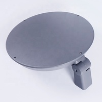 Module coréen 25w 50w 75w led lampe de jardin LED lumières de paysage de cour lumière de jardin