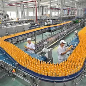 Machine de fabrication jus goyave pomme orange mangue ananas