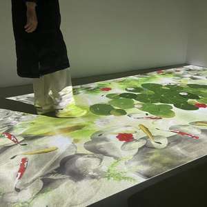 Оригинальное заводское интерактивное программное обеспечение для проекции пола <span class=keywords><strong>DEFI</strong></span> <span class=keywords><strong>TECH</strong></span> <span class=keywords><strong>LTD</strong></span> - Product Image 4