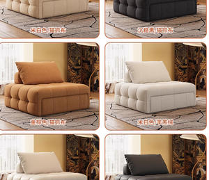 قماش مخلب القط قابل للسحب للخارج لضبط غرفة المعيشة والاستبدال قابل للطي صغير من الخارج والسرير - Product Image 5