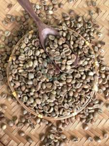 Size 16 Robusta Vietnam Origin Green Coffee <b>Beans</b> A 60kg A Plus 95 To 99% Purity Bulk <b>Bags</b> High Quality - Product Image 4
