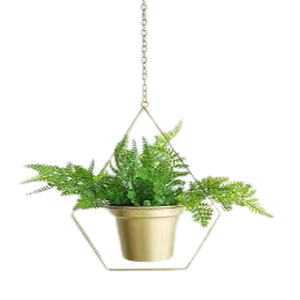 Gold Shape <b>Hanging</b> <b>Stand</b> Iron Metal Classic Design Planter Pot Home Hotel Wedding Decore Indoor Decoration Wall Mount Planter - Product Image 1